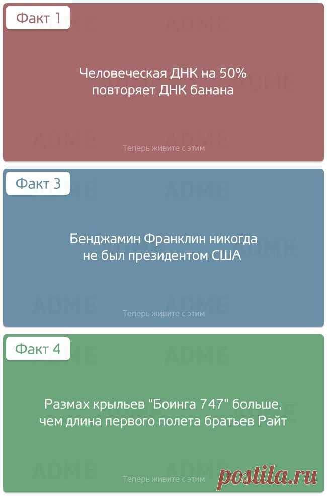 Абсолютно бесполезные факты обо всем - Познавай