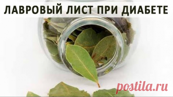 Как использовать лавровый лист для лечения сахарного диабета