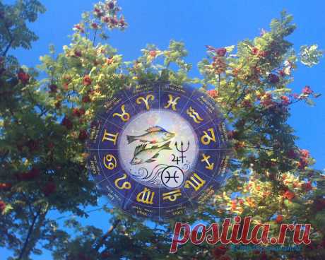 Будьте собой, но не забывайте о других. Гороскоп для Рыб с 28 июня по 31 июля 2021 | Астропропаганда | Яндекс Дзен
✨ Автор: астролог Нина Стрелкова. ✧ Период творческий, благоприятный для раскрытия талантов и овладения новыми навыками в любой избранной области. Планеты могут разбудить в вас самоуверенность, постарайтесь, чтобы она не оказалась чрезмерной, чтобы не вызывала негативное отношение окружающих. Особенно в последние четыре дня июля, когда Юпитер уйдет из вашего знака обратно в знак...