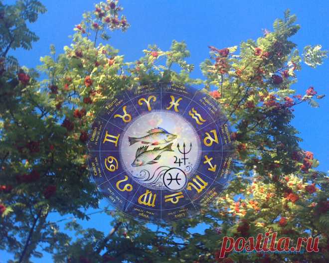 Будьте собой, но не забывайте о других. Гороскоп для Рыб с 28 июня по 31 июля 2021 | Астропропаганда | Яндекс Дзен
✨ Автор: астролог Нина Стрелкова. ✧ Период творческий, благоприятный для раскрытия талантов и овладения новыми навыками в любой избранной области. Планеты могут разбудить в вас самоуверенность, постарайтесь, чтобы она не оказалась чрезмерной, чтобы не вызывала негативное отношение окружающих. Особенно в последние четыре дня июля, когда Юпитер уйдет из вашего знака обратно в знак...