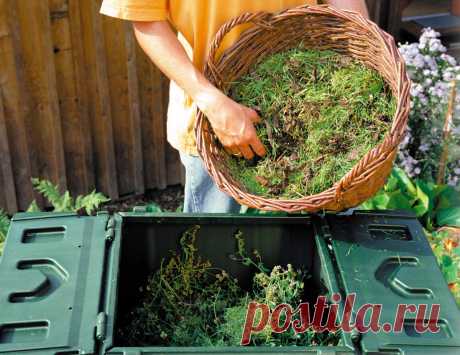 Что делать со скошенной травой на дачном участке | 6 соток