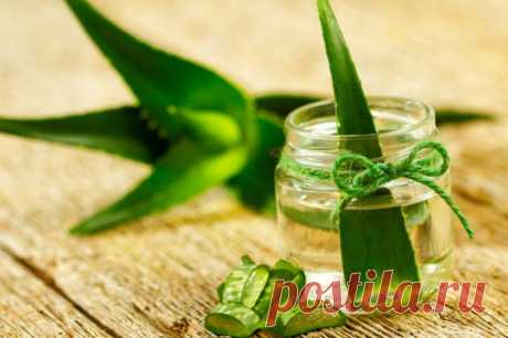 Средства для лечения геморроя в домашний условиях.