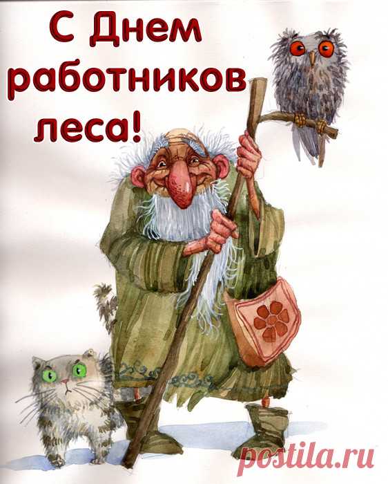 Лес — давно твоя стихия.
Поздравляю в славный день!
Шелест листьев, запах хвои
Пусть прогонят скуки тень.