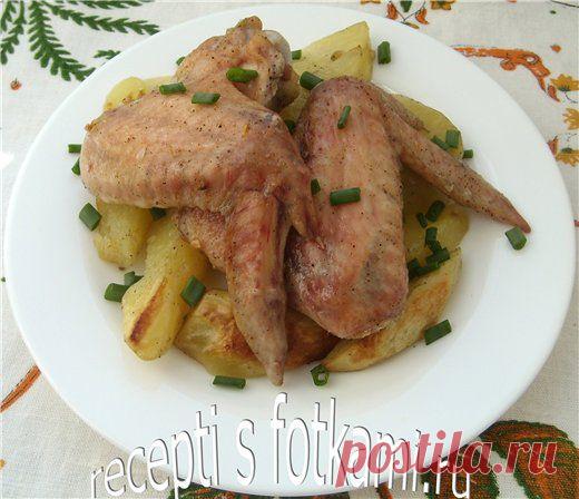 Куриные крылышки с картошкой в духовке - пошаговый рецепт с фото