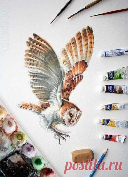 Jody Edwards / Удивительное искусство