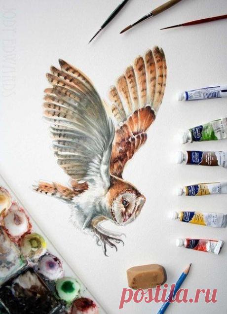 Jody Edwards / Удивительное искусство