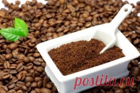 Кофе как выбрать: факты о полезности этих напитков - растворимый кофе против молотого, советы | Обозреватель