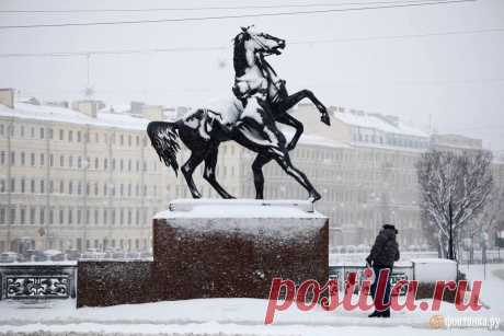 Снегопад в Петербурге прекратился - 12 января 2025 - ФОНТАНКА.ру