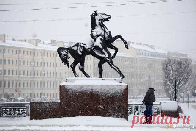 Снегопад в Петербурге прекратился - 12 января 2025 - ФОНТАНКА.ру