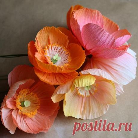 (150) Pinterest