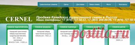 Трансгенные семена купить | Cernel Global Holding N.V
