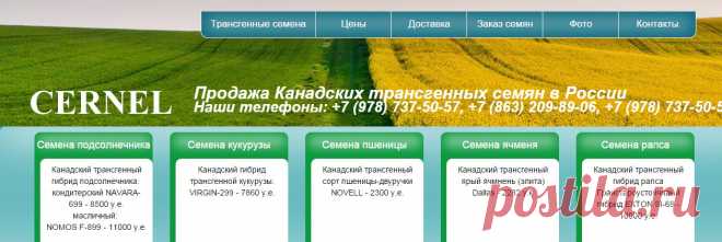 Трансгенные семена купить | Cernel Global Holding N.V