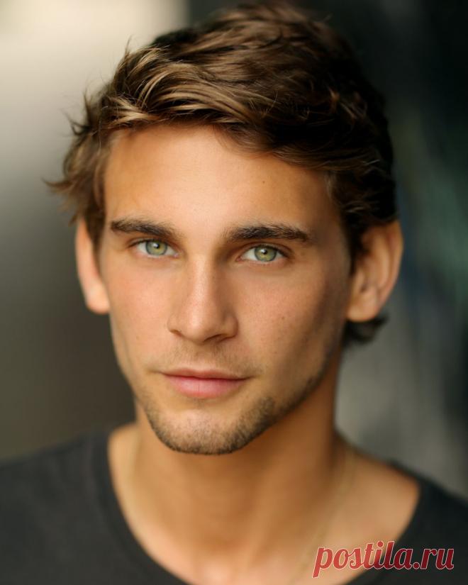 Фредди Торп