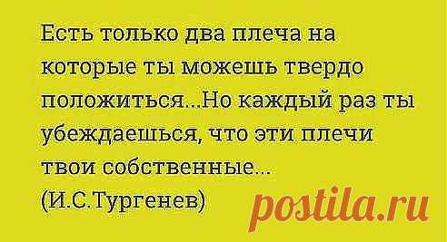 (40) Одноклассники