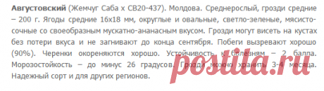 Очень ранние сорта винограда