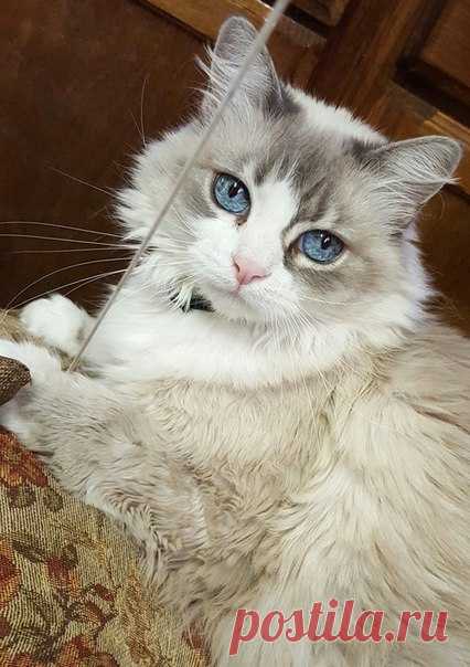 Мой Мир@Mail.Ru