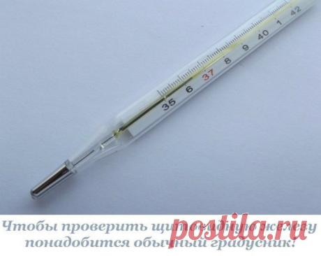 Чтобы проверить щитовидную железу, понадобится лишь обычный термометр!
Брода Отто Барнс, американский ученый и врач, в ходе своих исследований в области эндокринологии обнаружил, что температура тела человека — превосходный показатель работы щитовидной железы.

Как проверить щитовидную железу

Итак, чтобы определить состояние щитовидной железы, достаточно иметь лишь обычный термометр.

С вечера приготовь термометр, показатель температуры на нём должен быть не выше 35 граду...