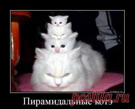 Свежий сборник  (14 шт) | Обхохочешься