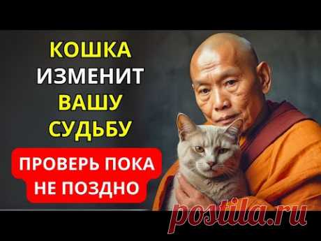 Жизнь с Кошкой Изменит Вашу Судьбу | Буддийская Мудрость Все Объясняет