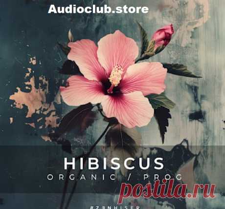 Step into a world of sonic wonder with Zenhiser’s Hibiscus Organic Progressive, now exclusively available at Audio Club. This meticulously crafted collection of 344 premium samples is a treasure trove for producers seeking to channel the vibrant energy of Progressive House and the earthy allure of Organic House. Designed for those who crave deep, pulsating basslines and irresistibly groovy, melodic textures, this pack is your passport to an infinite musical journey.