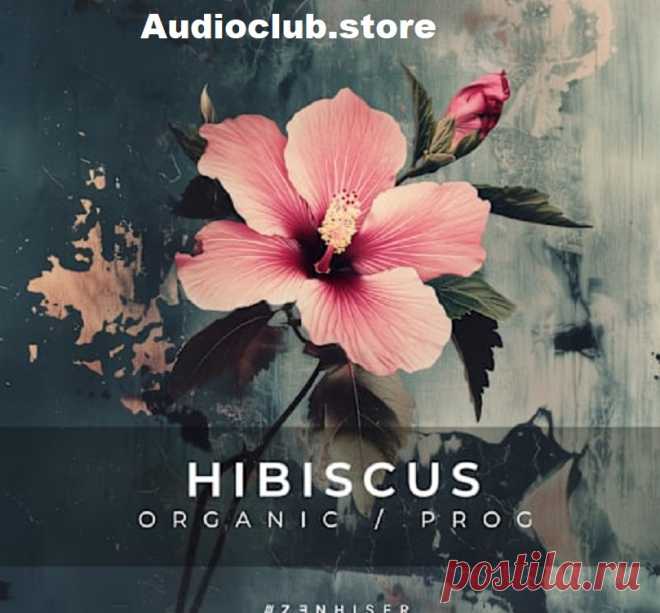 Step into a world of sonic wonder with Zenhiser’s Hibiscus Organic Progressive, now exclusively available at Audio Club. This meticulously crafted collection of 344 premium samples is a treasure trove for producers seeking to channel the vibrant energy of Progressive House and the earthy allure of Organic House. Designed for those who crave deep, pulsating basslines and irresistibly groovy, melodic textures, this pack is your passport to an infinite musical journey.
