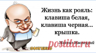 Юмор Перлы от Жванецкого