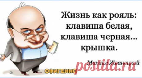 Юмор Перлы от Жванецкого