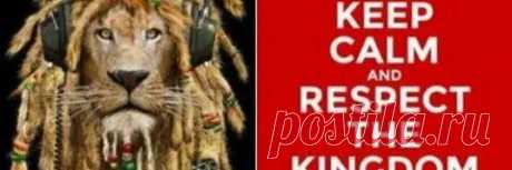 Elreydelmundo 1: смотрите и скачивайте изображения — Яндекс Картинки
