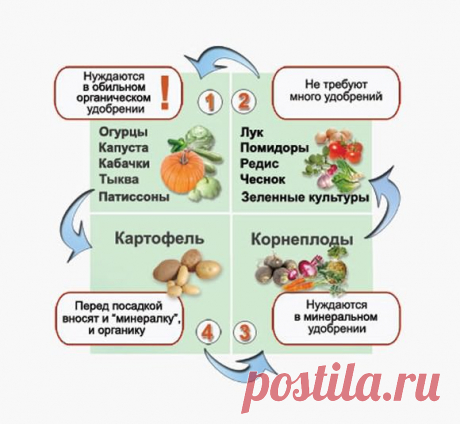 Севооборот овощных культур на огороде, дачном участке - Своими руками на даче - как посеять, сажать, ухаживать за растениями и цветами