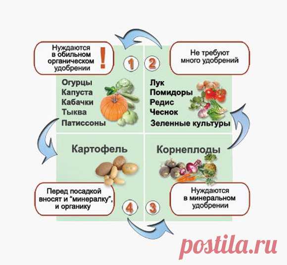 Севооборот овощных культур на огороде, дачном участке - Своими руками на даче - как посеять, сажать, ухаживать за растениями и цветами