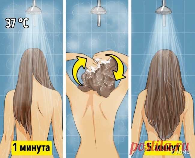 Стилисты советуют учитывать 9 правил, чтобы волосы оставались чистыми и объемными дольше - pro100soveti.ru