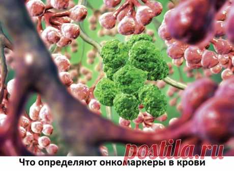 как вывести куриную бородавку народными средствами	Чем вывести куриную бородавку с ноги? Единственными аптечными средствами, которые могут помочь удалить нарост на ранних этапах развития, являются препараты сКак выглядит бородавка «куриная жопка»? Лечение инновационными методами и народными средствами.
