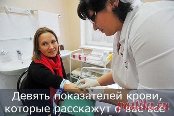 Девять показателей крови, которые расскажут о вас все