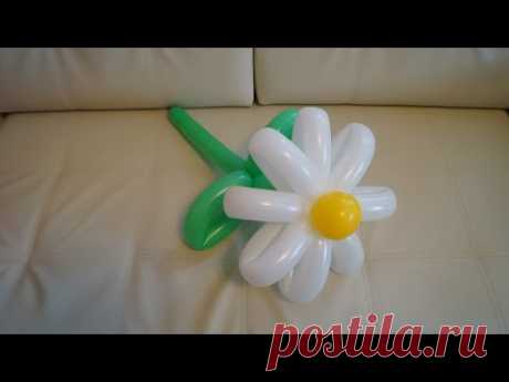 Большая ромашка из воздушных шаров / Large daisy made of balloons