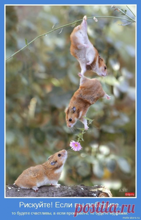 Мой Мир@Mail.Ru