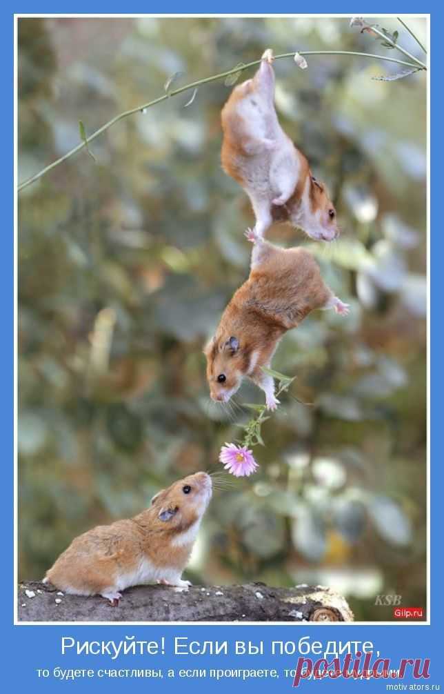 Мой Мир@Mail.Ru