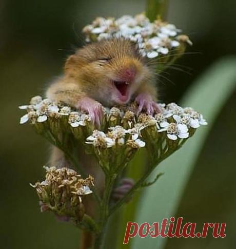 хорошо то -как..