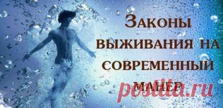 Законы выживания на современный манер  / Основы бизнеса