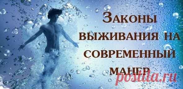 Законы выживания на современный манер  / Основы бизнеса