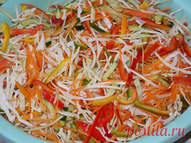 Капуста скороспелая | Кулинария своими руками