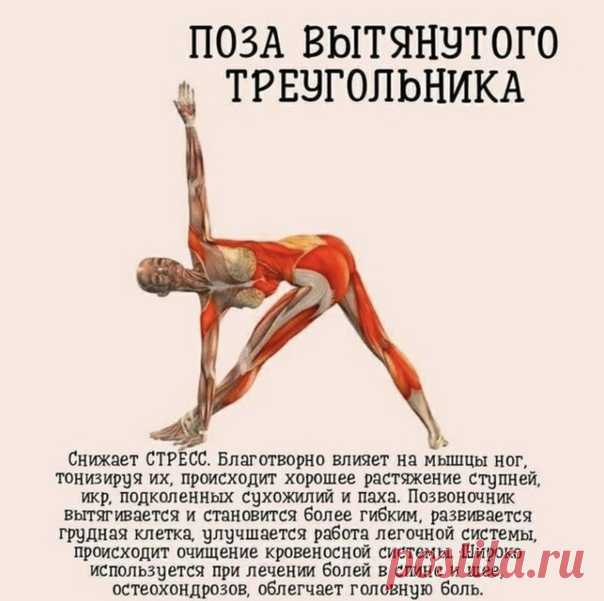 ТОП-9 поз для улучшения вашего самочувствия