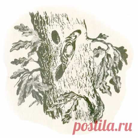 ТЕРЕМОК
