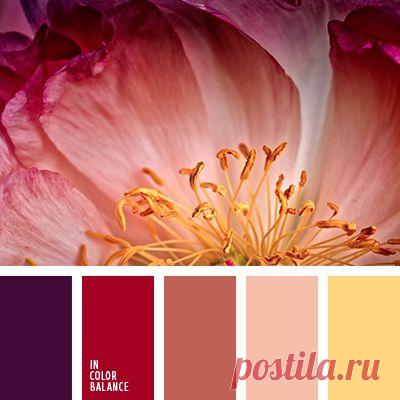 сочетание цветов