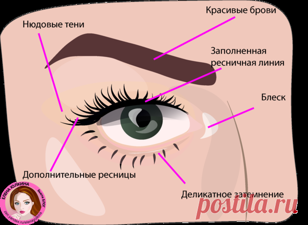 Макияж для нависшего века. Схемы в картинках | Елена Юлкина | Яндекс Дзен