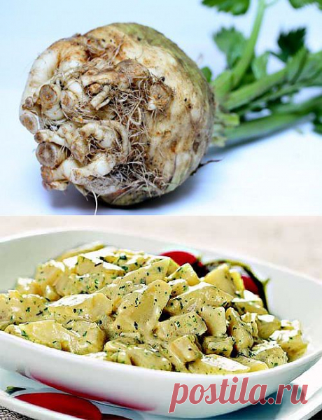 Здоровое питание: простые и вкусные вторые блюда из корня сельдерея / Простые рецепты