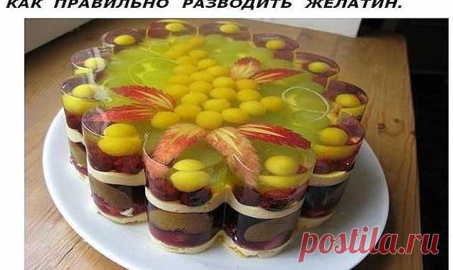 Посейте гречку в саду и результат вас порадует