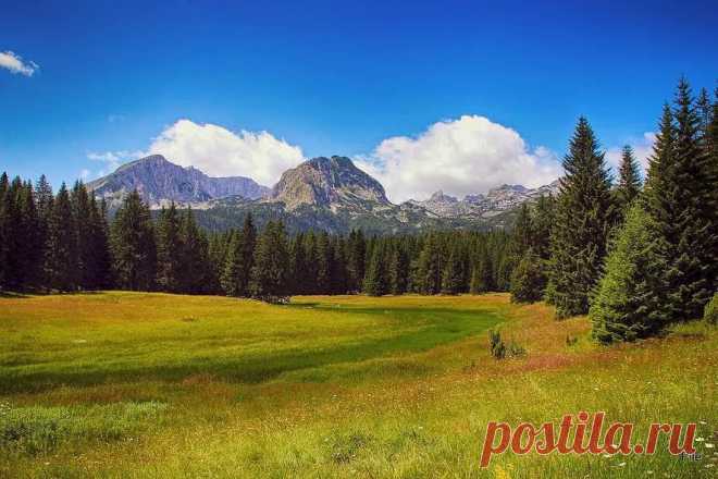 Фотография Durmitor из раздела пейзаж №5609986 - фото.сайт - Photosight.ru