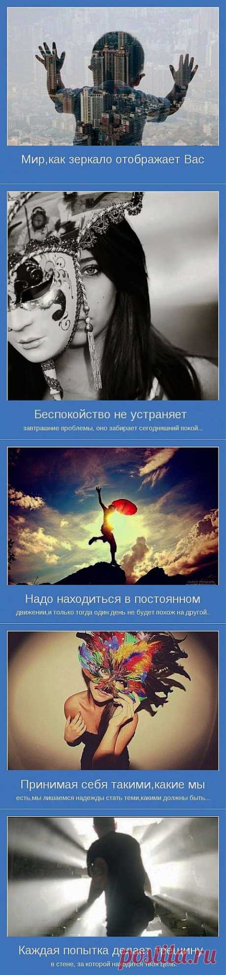Позитивные мотиваторы.