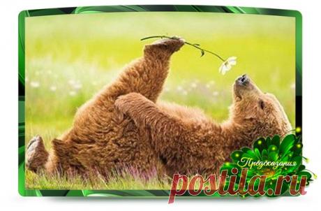 Марина Пашпекина