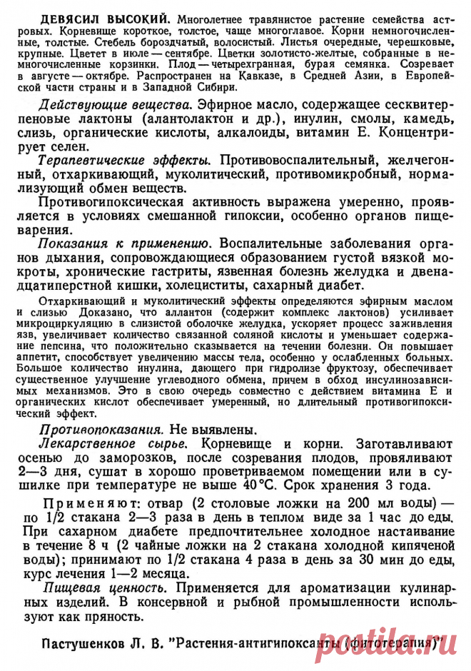 Девясил высокий